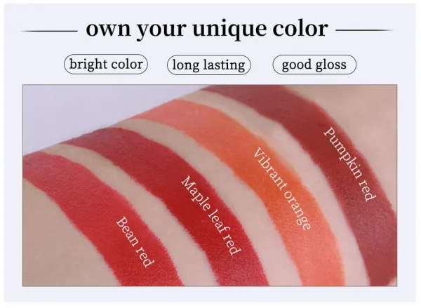 مجموعة أحمر شفاه مقاوم للماء طويل الأمد - أحمر شفاه مطفي طويل الأمد مع لمسة نهائية شفافة - هدية مثالية ليوم عيد الحب لها