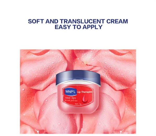 4/6/8 قطعة مجموعة بلسم الشفاه المرطب تبييض ترطيب قاعدة النباتات الطبيعية قاعدة ترطيب الكراك الشفاه العناية هلام مرطب