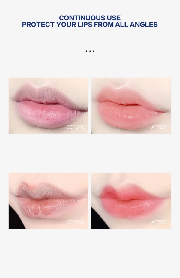 4/6/8 قطعة مجموعة بلسم الشفاه المرطب تبييض ترطيب قاعدة النباتات الطبيعية قاعدة ترطيب الكراك الشفاه العناية هلام مرطب
