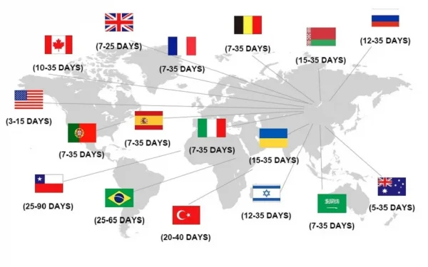 أزياء مطبوعة بأكمام طويلة قميص المرأة دعوى ربيع الخريف سليم صالح